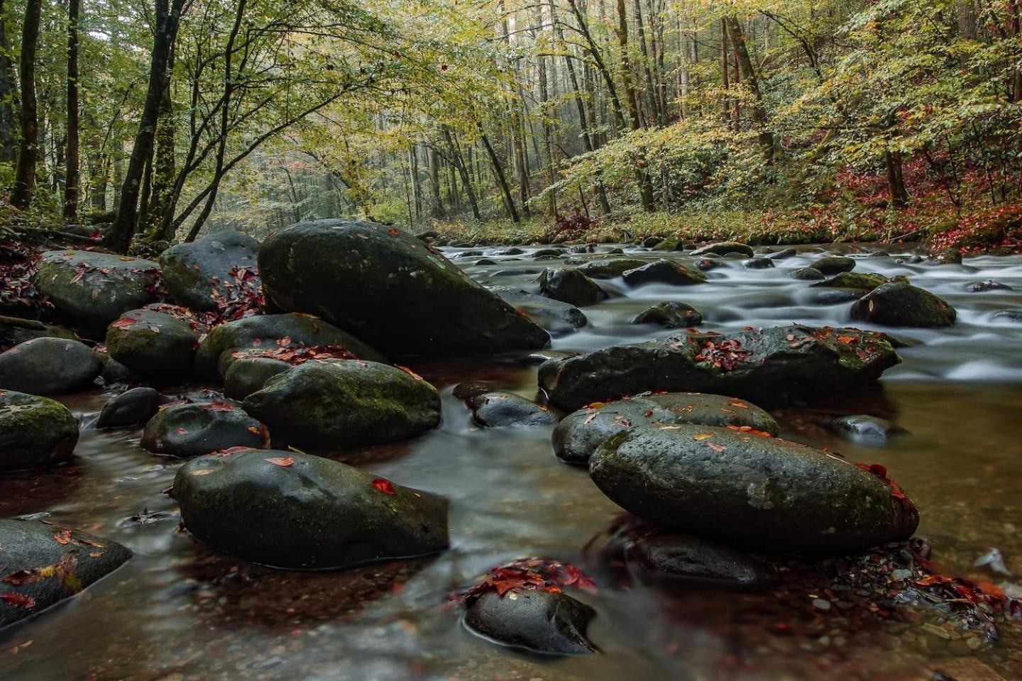 Romantic Mtn Cabin Hot Tub & Jacuzzi Views Sevierville Esterno foto