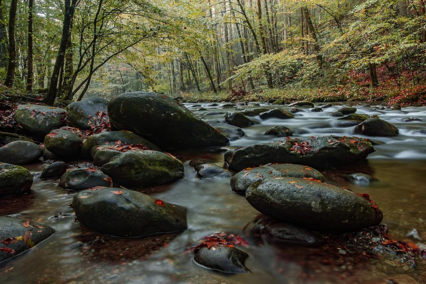 Romantic Mtn Cabin Hot Tub & Jacuzzi Views Villa Sevierville Esterno foto