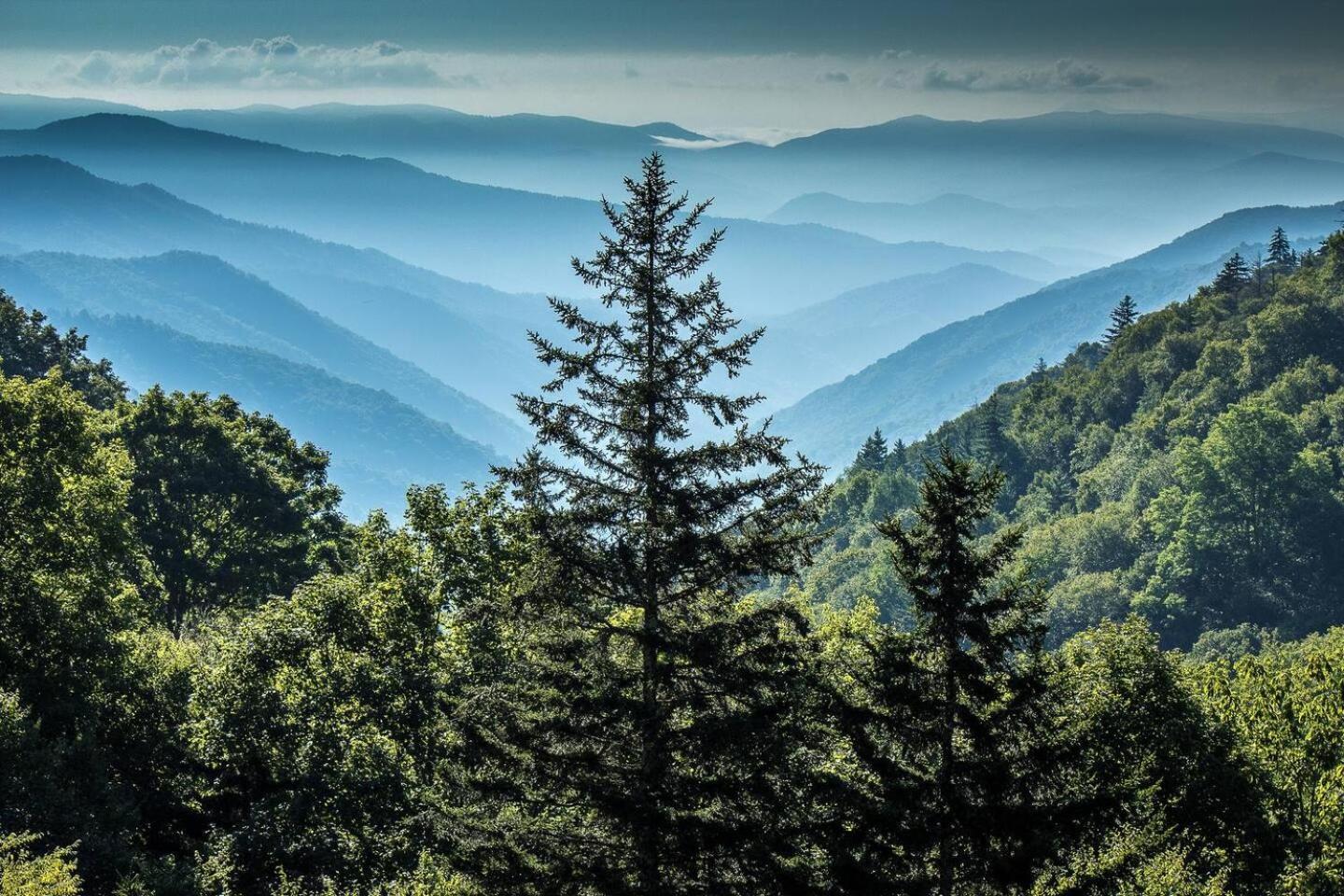 Romantic Mtn Cabin Hot Tub & Jacuzzi Views Villa Sevierville Esterno foto