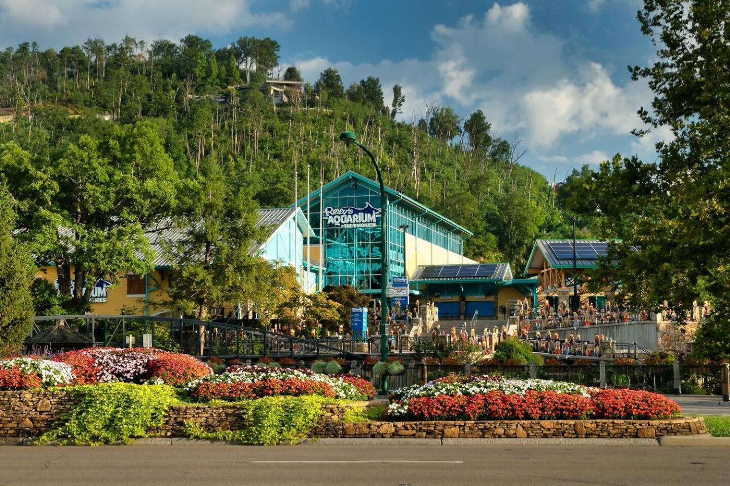 Romantic Mtn Cabin Hot Tub & Jacuzzi Views Sevierville Esterno foto