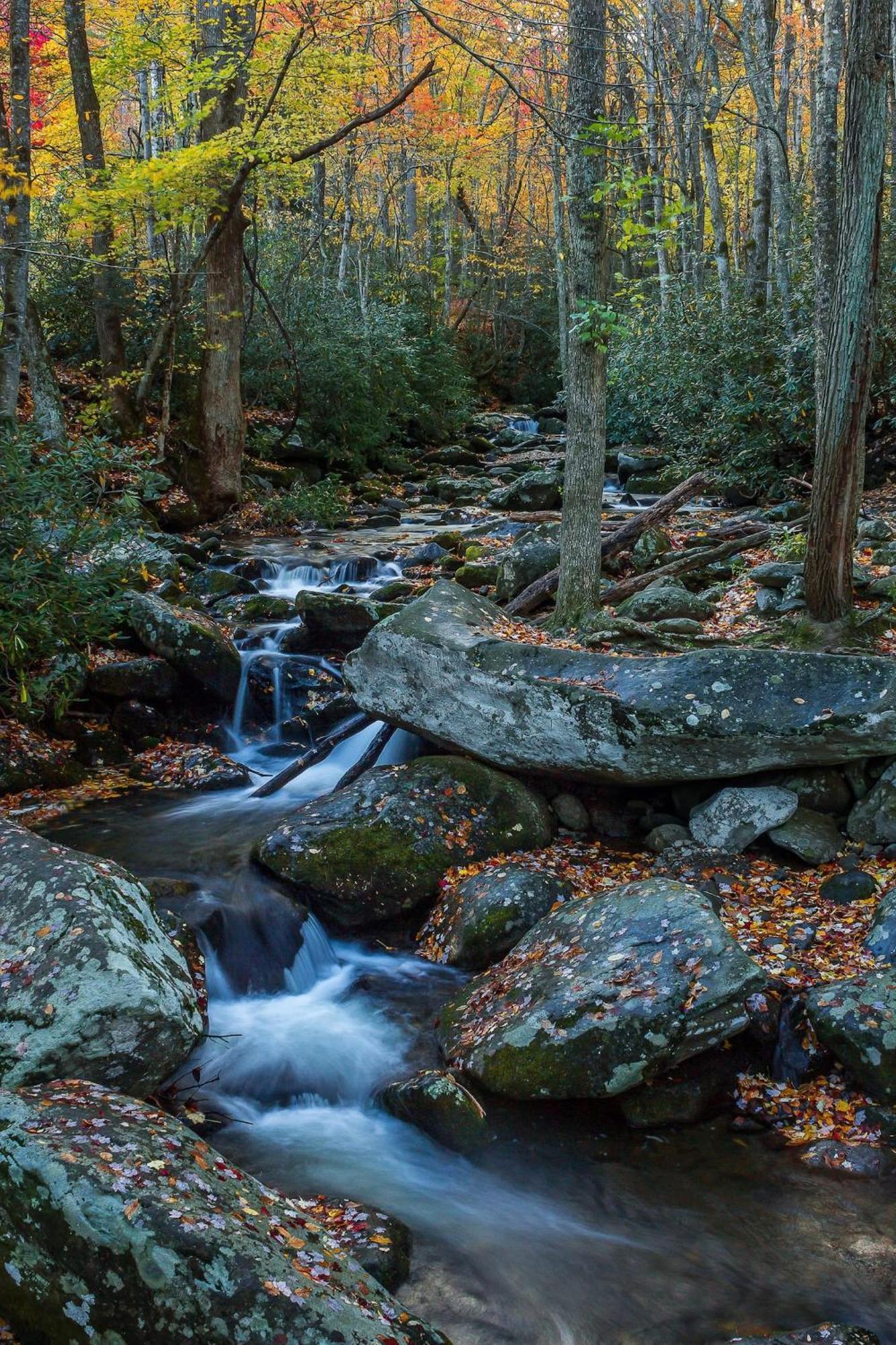 Romantic Mtn Cabin Hot Tub & Jacuzzi Views Sevierville Esterno foto